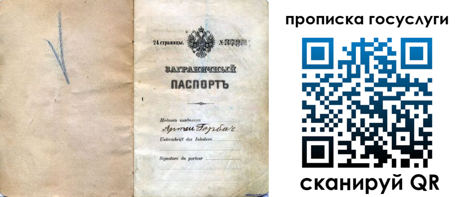 прописка законно в Борзе